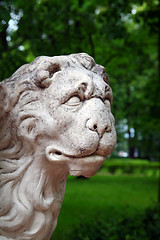 Image showing stone lion head