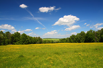 Image showing summer landscape