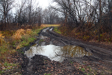 Image showing dirty road with puddle