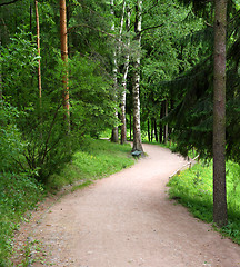 Image showing curved road in park