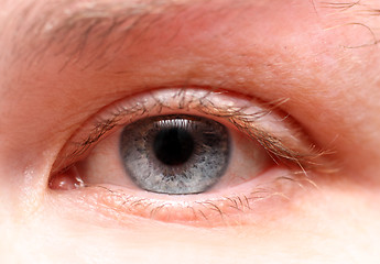 Image showing women eye