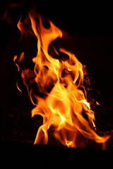 Image showing bonfire flame