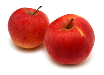 Image showing two red bright apples