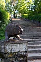 Image showing lion sculpture on stairs