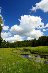 Image showing pond landscape in Pavlovsk park