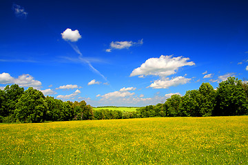 Image showing bright summer landscape