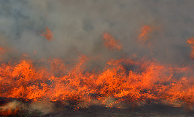 Image showing red fire and dense smoke