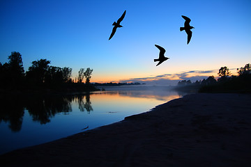 Image showing river dusk landscape with gulls