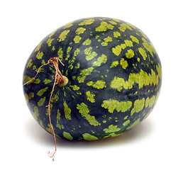 Image showing watermelon