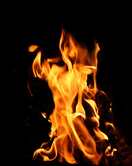 Image showing bonfire flame