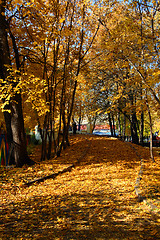 Image showing lane in autumn park