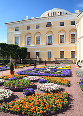 Image showing view on palace in Pavlovsk park