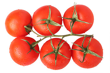 Image showing Tomatoes