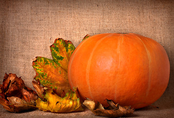 Image showing Fall background