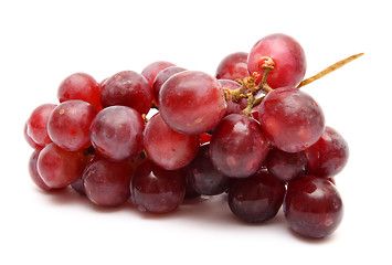 Image showing grape bunch