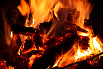 Image showing Bonfire