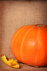 Image showing Pumpkin