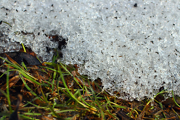 Image showing spring grass under melt snow