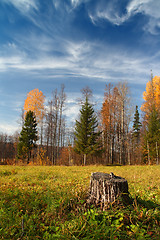 Image showing autumn landscape in Ural mountains