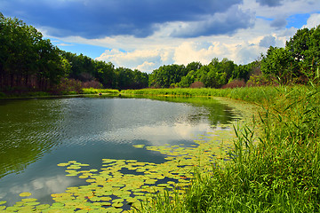 Image showing summer lake landscape