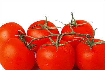 Image showing Tomatoes