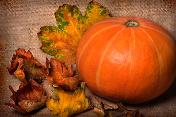 Image showing Fall background