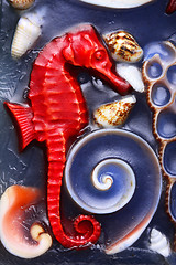 Image showing Seahorse and shells 