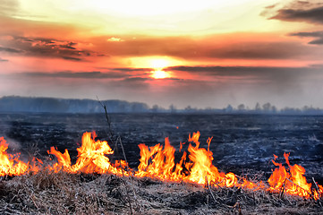 Image showing Fire of grass at sunset 