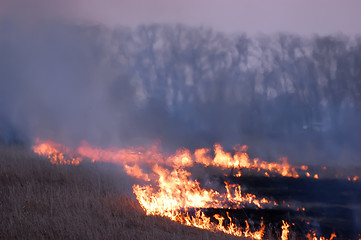 Image showing Fire of grass at sunset 