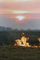 Image showing Fire of grass at sunset 