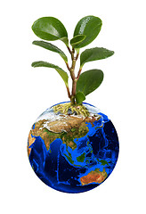 Image showing Earth planet with earth