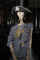 Image showing skeleton pirate