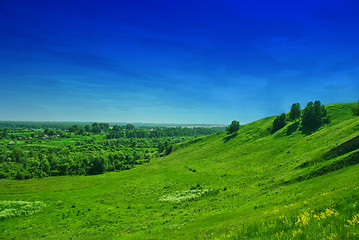 Image showing summer landscape