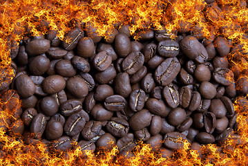 Image showing coffee bean in fire