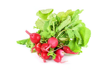 Image showing Fresh radishes