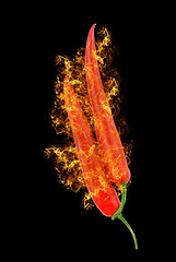 Image showing red hot chili peppers