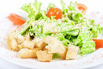 Image showing salad of meat, vegetable and dried crust