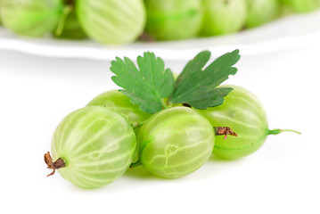 Image showing gooseberries