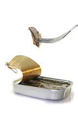 Image showing Tin anchovies