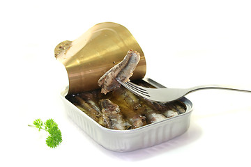 Image showing Tin anchovies