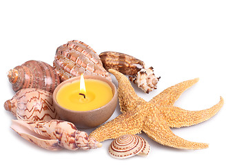Image showing Seashells, starfish and candle