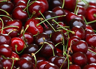 Image showing Cherries