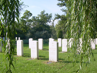 Image showing Soldier cemetery from 1813.