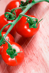 Image showing tomatoes bunch