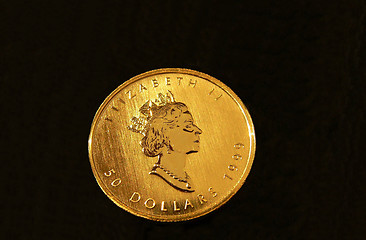 Image showing Gold coin 