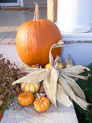 Image showing Pumpkin   