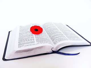 Image showing Bible with poppy  