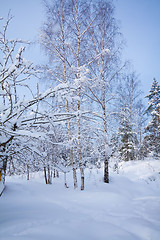 Image showing wintertime