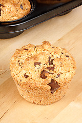 Image showing Chocolate chip and pine nut muffin