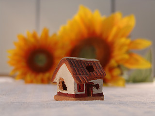 Image showing Flowers and ugly house